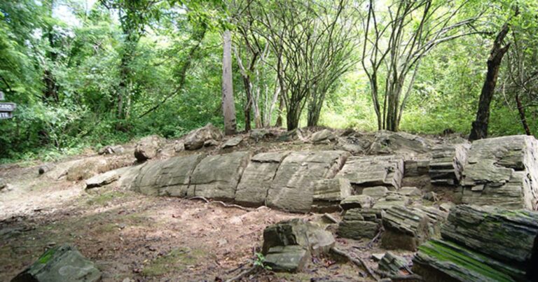 El bosque de Puyango: la historia de la petrificación que ocurrió antes de la extinción de los dinosaurios en Ecuador