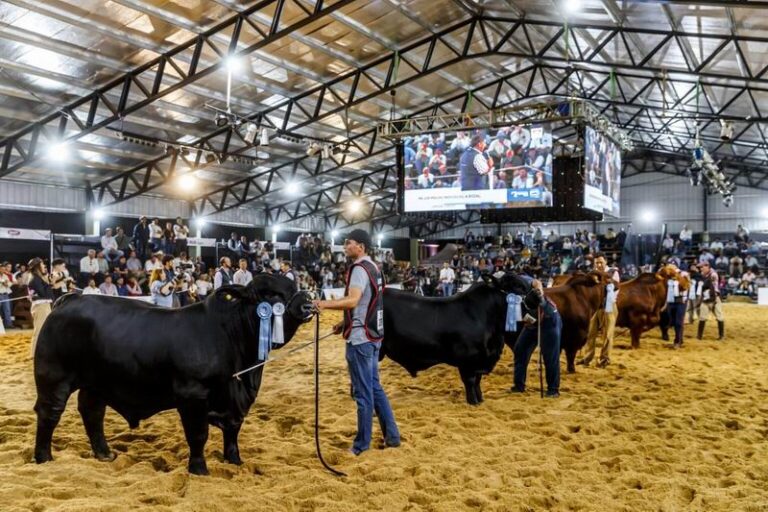 Las Nacionales de Razas vuelven a Corrientes: grandes expectativas