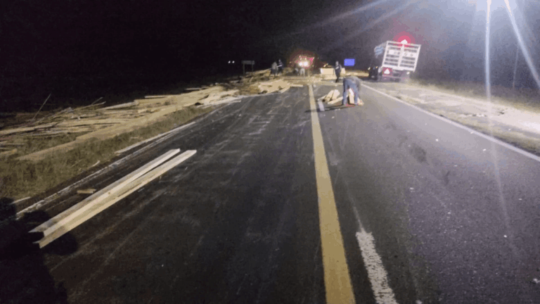 Ruta 12: esquivó un carpincho y volcó un acoplado repleto de maderas