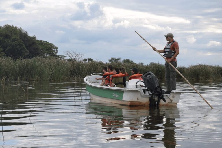 Colonia Carlos Pellegrini: la joya natural de los Esteros del Iberá potencia su propuesta ecoturística