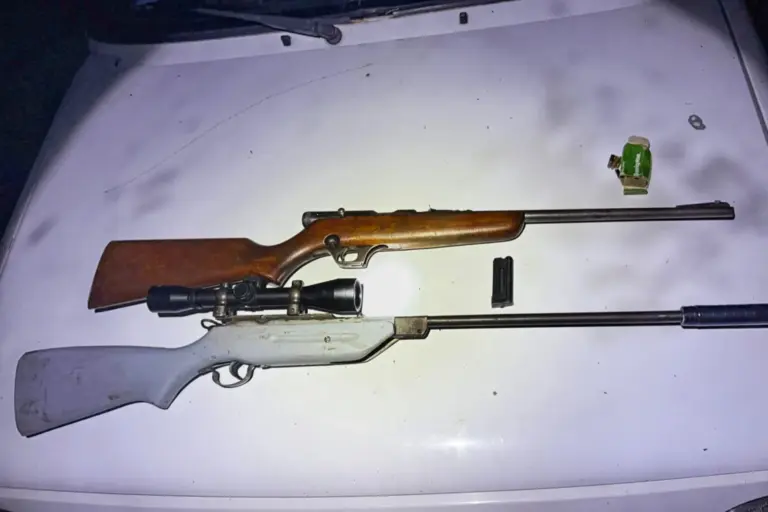 Se incautaron 554 armas de fuego en lo que va de 2025