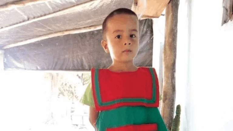 Caso Loan: para el fiscal Schaefer el juicio será para fin de año o antes