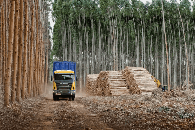 Se realizará la 1 Expo Foresto Industrial de Corrientes.