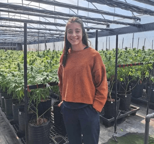 Ciencia local: estudian los riesgos del cannabis para el sistema nervioso animal