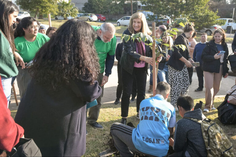 Lanzaron un plan de arbolado en la ciudad