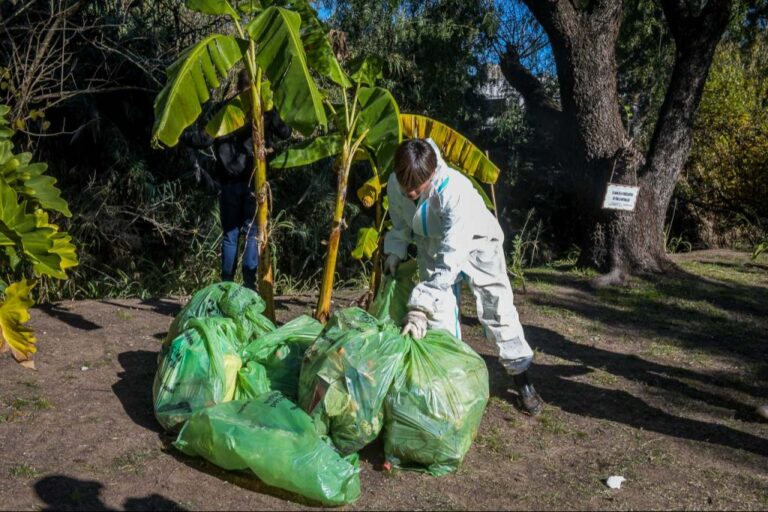 Realizaron una jornada de sensibilización y limpieza en el arroyo Colorado
