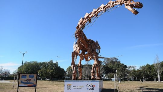 Instalan en una plaza de Recoleta una réplica exacta del dinosaurio más grande del mundo