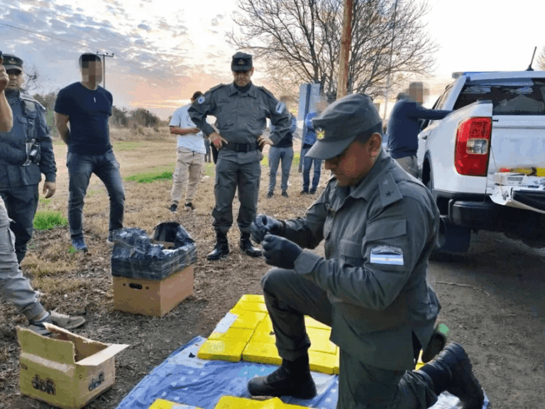 Detectan un camión con 172 kilos de cocaína que venía hacia Corrientes