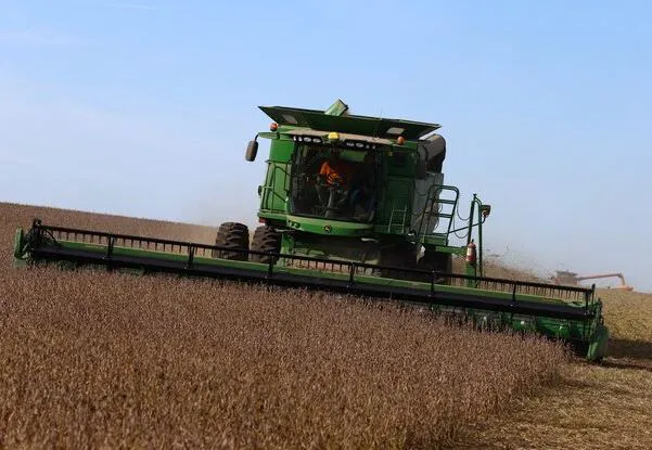 Récord de soja en Entre Ríos: una cosecha millonaria que no garantiza futuro