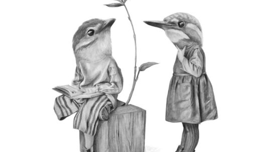 MuSA, arte que alimenta en Córdoba