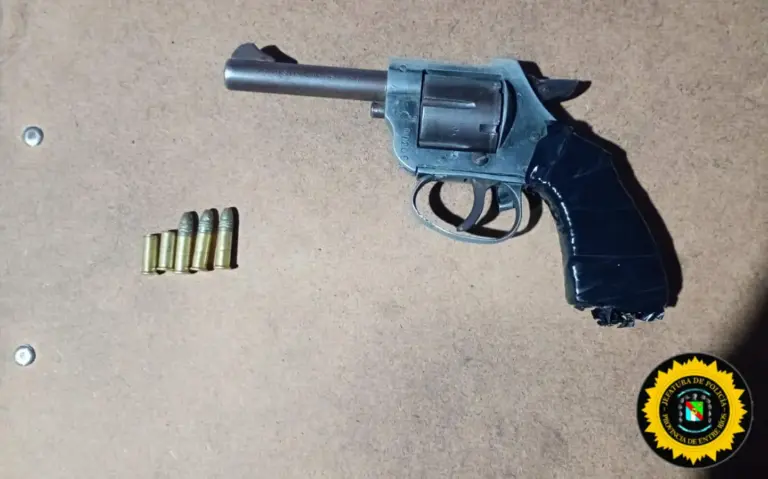 Descartó un revólver calibre 22 en el pasto pero la sagacidad policial lo encontró a 50 metros del lugar donde se encontraba, quedo preso.