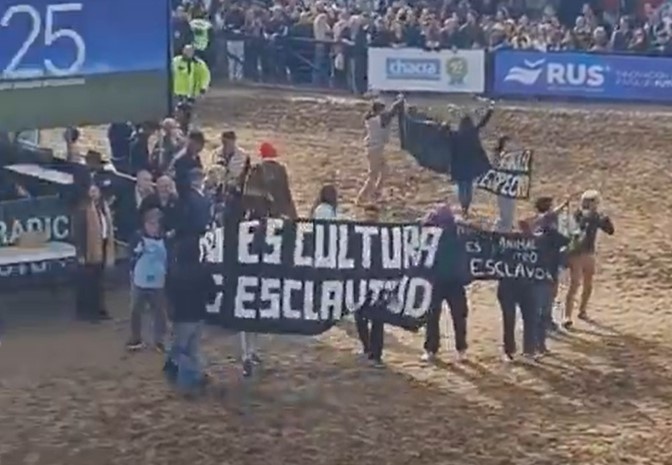 Tensión en La Rural: activistas veganos se manifestaron y fueron escoltados por seguridad