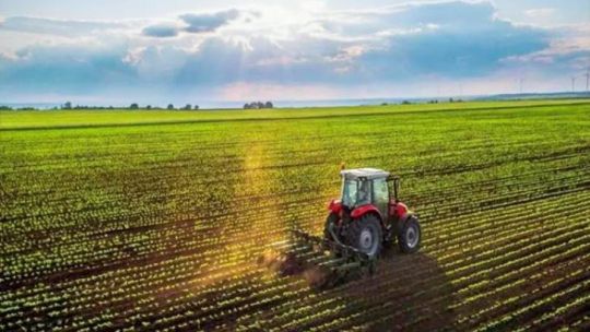 Baja de retenciones agropecuarias: fomenta una mayor productividad?