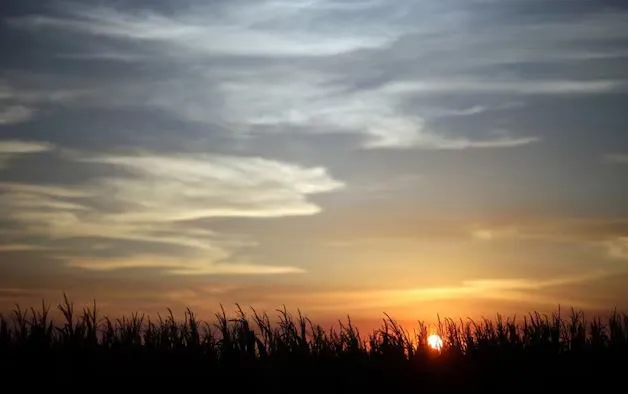 Puertos para pocos: La infraestructura de Entre Ríos en manos de privados y la exclusión de los productores locales