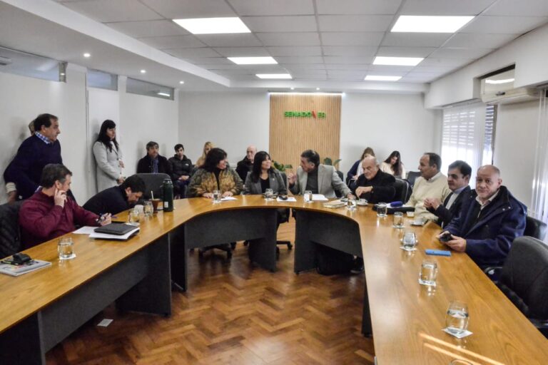 Analiza el Senado la creación del Consejo Interuniversitario Provincial