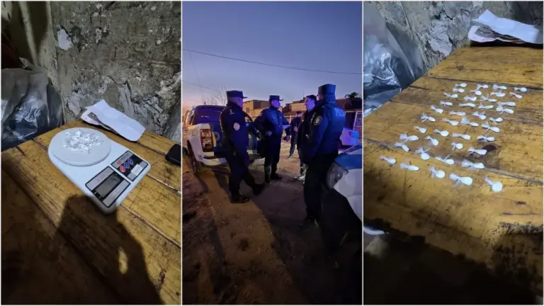 Allanaron dos casas por un robo, pero encontraron un kiosco de drogas: una mujer detenida