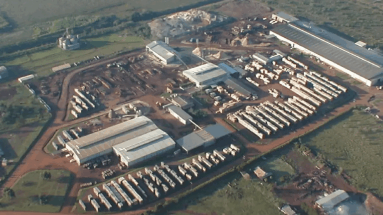 Una maderera detiene su producción y deja a 520 operarios cesantes