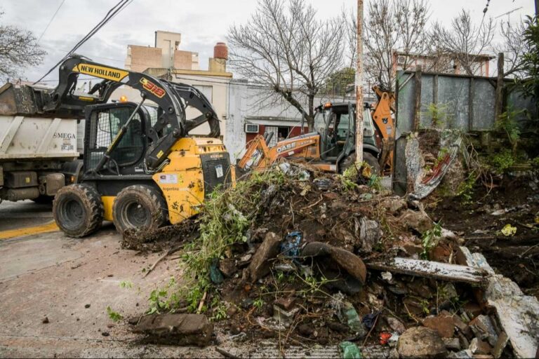 La Municipalidad continúa con los operativos en terrenos baldíos