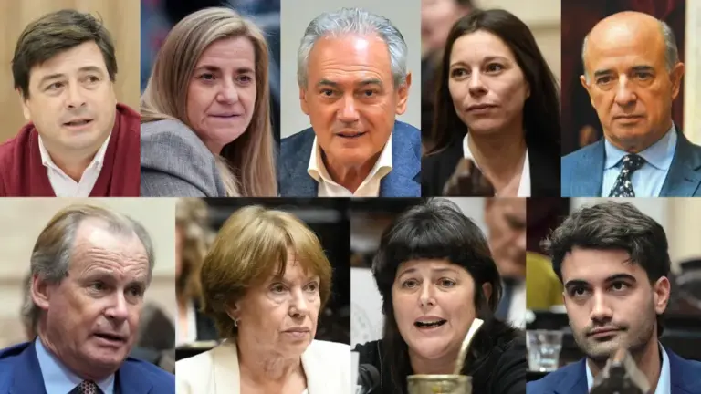 Emergencia en Discapacidad: cómo votaron los diputados de Entre Ríos