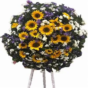 GONZALEZ RUSSO SUSANA    30/9/1945  9/9/2025