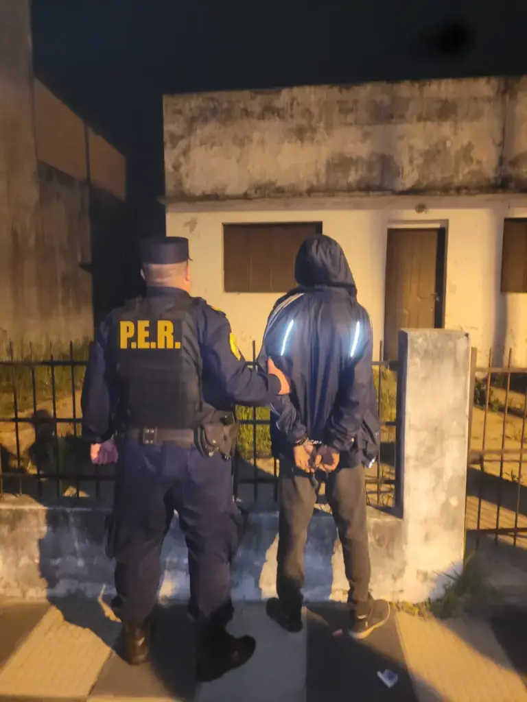 Andaba por los techos de toda una manzana pero no era un gato, lo bajó la policía y lo imputaron por tentativa de robo y violación de domicilios.
