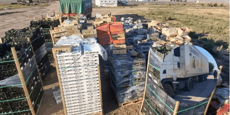 En Chaco decomisaron 26 toneladas de frutas