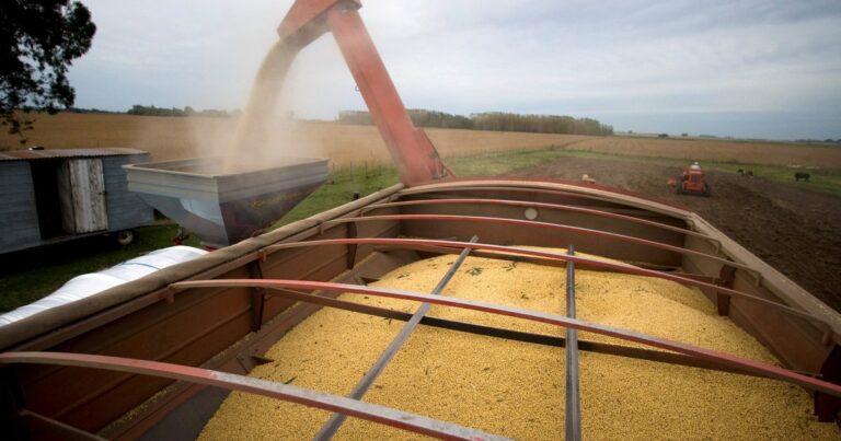 La presión de los sojeros estadounidenses a Trump para que le pida a la Argentina el fin del arancel cero