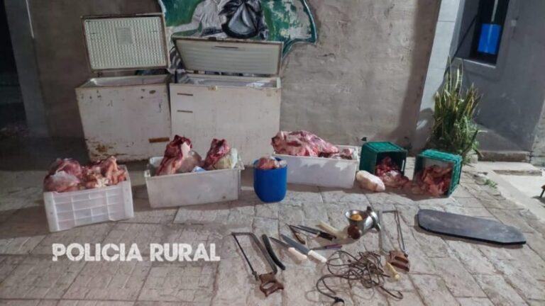 Desarticulan una banda de cuatreros en San Roque tras operativos nocturnos