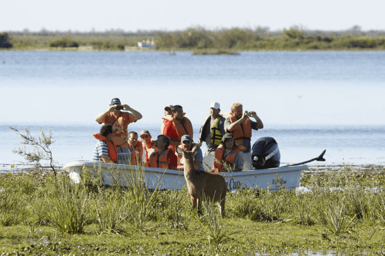El municipio de Carlos Pellegrini compite para los Best Tourism Villages 2025