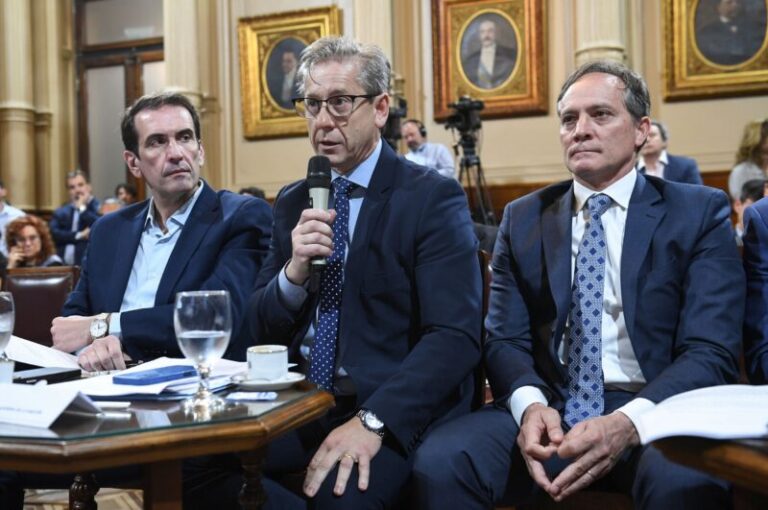 Vischi pide estrategia de Estado ante la visión pendular de Argentina