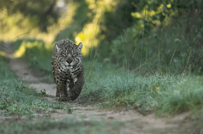 Un fotógrafo correntino es finalista de un importante certamen internacional