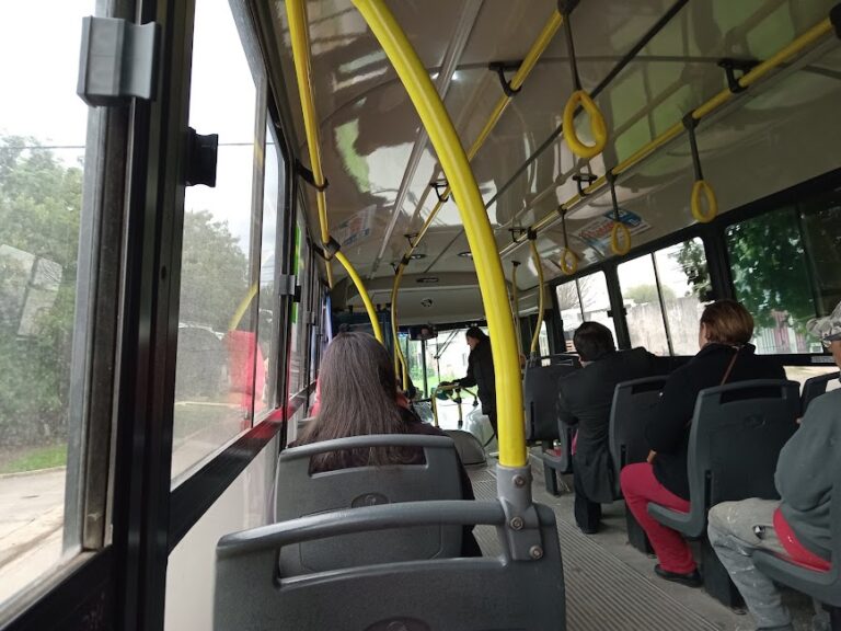 Los colectivos, gratis para ir a votar