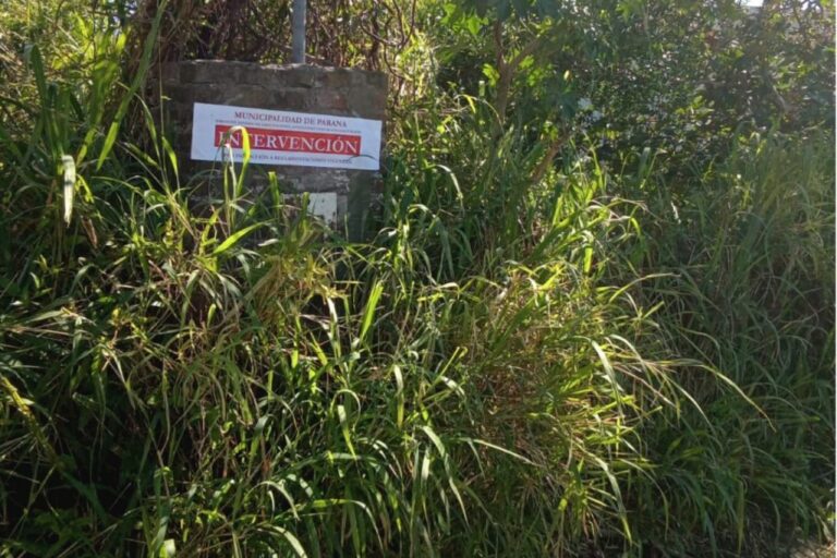 El Municipio insta a vecinos mantener la limpieza de terrenos baldíos
