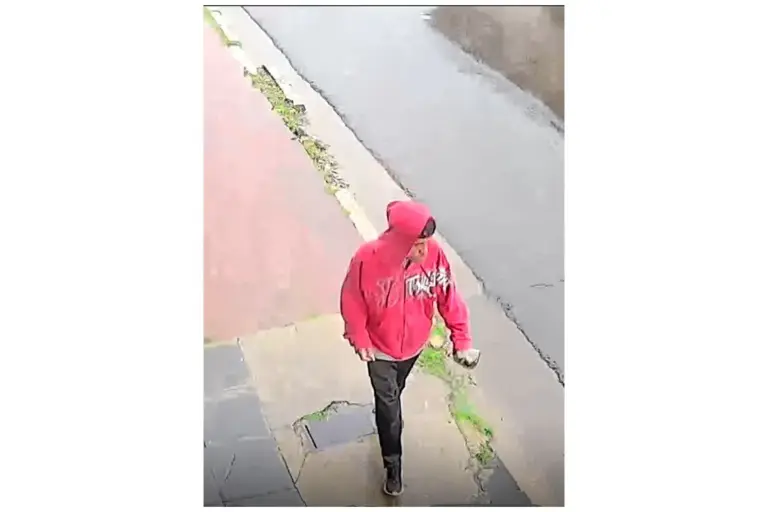 Entró a una pizzería, robó un celular y transfirió dinero desde la cuenta del local