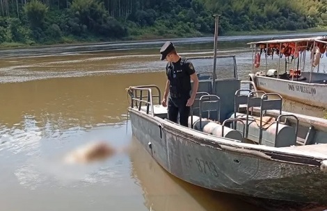 Hallaron un cadáver con una bolsa en la cabeza flotando en el río Paraná