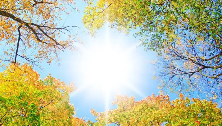 Concordia despide el fin de semana extralargo con buen tiempo y agradable temperatura