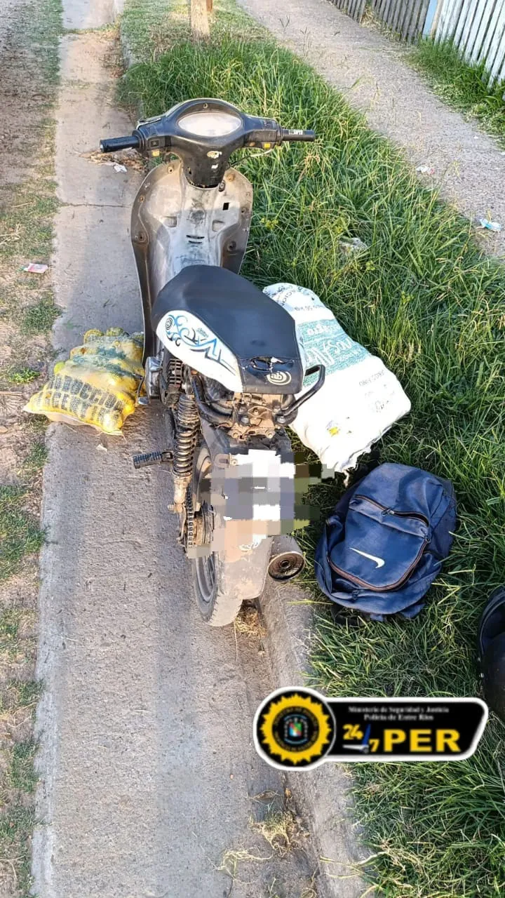 Federación: dos personas robaron limones y fueron sorprendidos por la policía