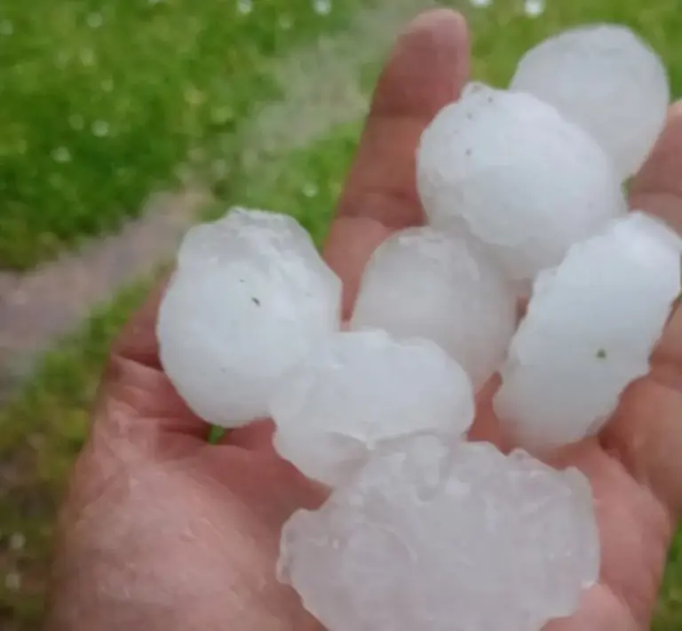 Una importante granizada afectó a La Criolla y Colonia Ayuí esta madrugada.