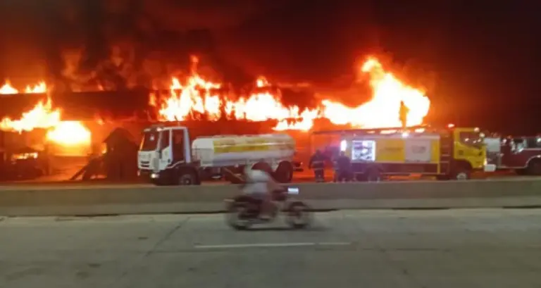Dos perros muertos y destrucción total tras incendio en maderera