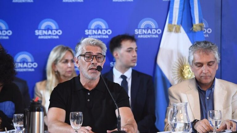 Pablo Echarri cuestionó con dureza la reforma laboral en el Senado: «Regresiva y ruinosa»