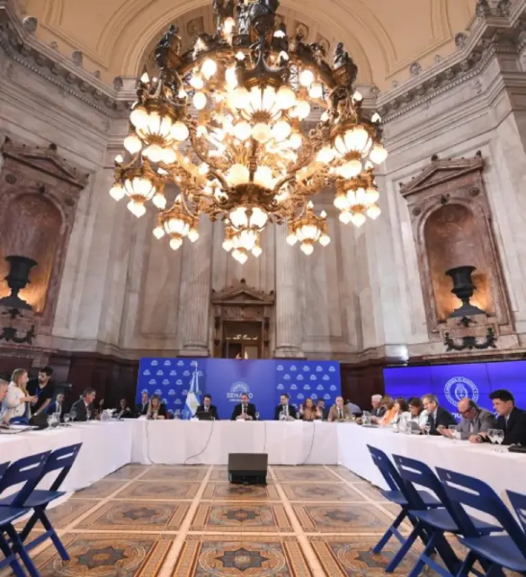 El Presupuesto bajo la lupa del Senado por los recortes en educación