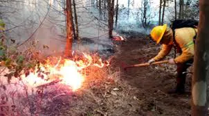Recordaron la prohibición de realizar quemas en todo el territorio provincial.