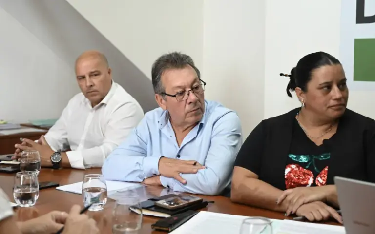 COLONIA ALEMANA FUE DECLARADA COMUNA POR LA CÁMARA DE DIPUTADOS