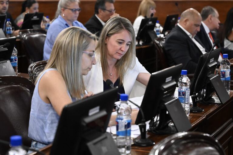 Juicio político a la vocal del STJ: el PJ dice que el oficialismo tiene la llave para dictaminar