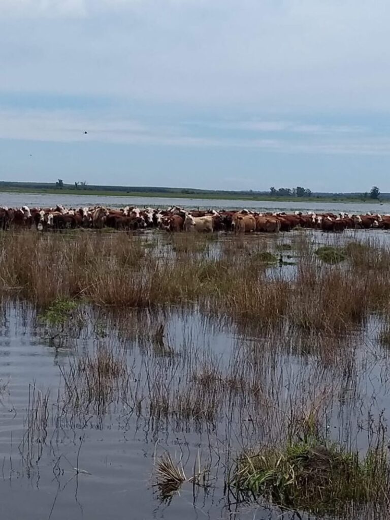 Emergencia hídrica: CRA se solidariza con Corrientes y advierte sobre el impacto en las economías regionales