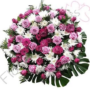 DORA TERESITA ORCELLET