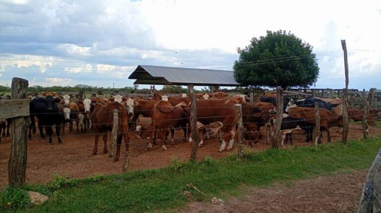 El presidente de la Sociedad Rural optimista