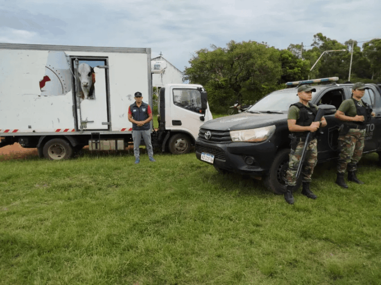 Secuestran un camión vinculado al transporte de carne clandestina.