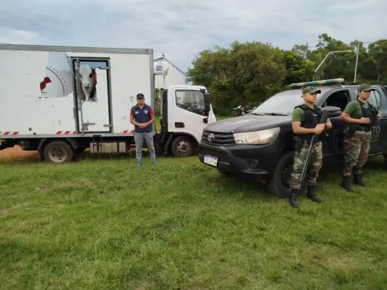 Allanamiento en un matadero municipal por causa de presunto abigeato