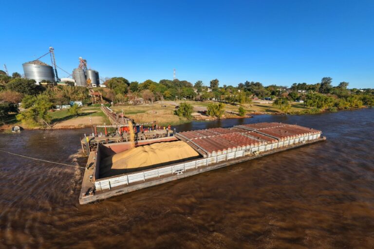 Los puertos de La Paz, Santa Elena y Puerto Márquez, a pleno por récord de cosecha
